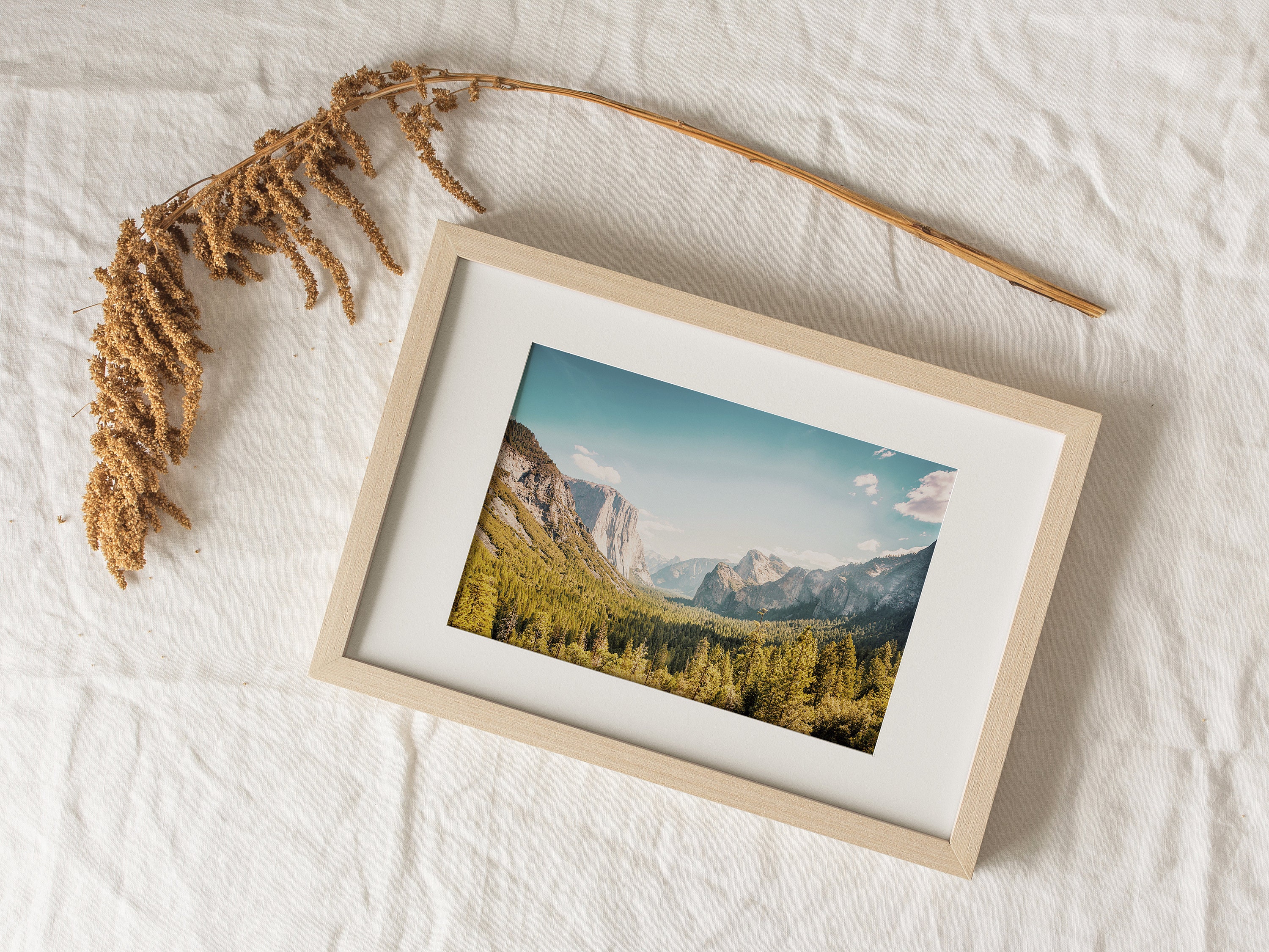 夏のヨセミテ渓谷、北カリフォルニア国立公園、ヨセミテの荒野、自然の