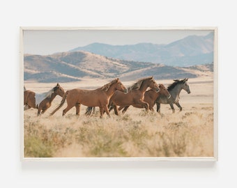 Running Wild Horses, Wild Horse Herd, New Mexico Mustangs, Wildlife Photography, Wild Mustang Wall Art, Desert Mustang Horse Art