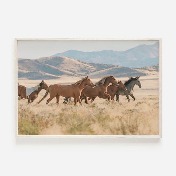 Running Wild Horses, Wild Horse Herd, New Mexico Mustangs, Wildlife Photography, Wild Mustang Wall Art, Desert Mustang Horse Art