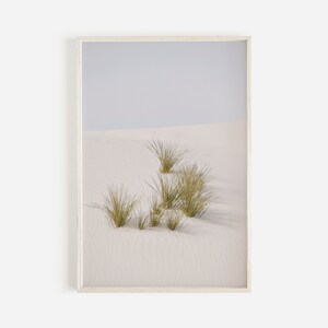 Desert Grasses Photo, White Sands New Mexico, Desert Photography, Southwestern Wall Art, National Park Print, White Sands Print, White Sands