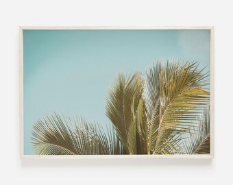 Foglie di palma mosse dal vento, caldo scenario estivo, arte da parete della California, stampa di foglie di palma verdi, decorazioni per la casa con palme, foto di alberi costieri