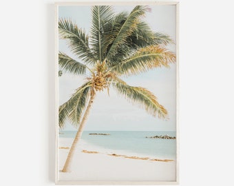 May include: A single palm tree on a white sandy beach with turquoise water and a blue sky in the background.