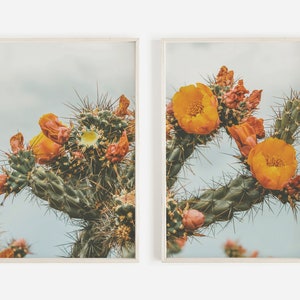 Cactus Flower Digital Prints, Bright Flower Photo, Cactus Scenery, Set of 2 Prints, Cactus Flower Print Set, Boho Floral Decor Prints