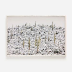 Arizona Desert Snow, Rustic Snowy Scene, Arizona Landscape, Desert Covered in Snow, Cactus Among Snow, White Desert Photo, Southwest Winter