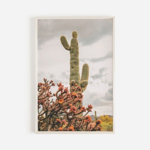 Southwest Wall Art, Boho Saguaro Druck, Wüsten Kaktus Poster, Rosa Kaktus Blumen, Stürmische Himmel, Saguaro Fotografie, Bunter Kaktus Druck