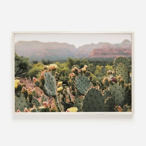 Cactus Flowers in Bloom, Sedona Arizona Wall Art, Prickly Pear Cactus in Sedona, Yellow and Pink Cactus Flowers, Sedona Cactus Photography