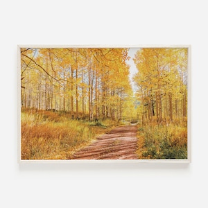 Arizona Espen Bäume, Flagstaff Wandkunst, Innere Basin Spur, Espe Baum Fotografie, Herbst Wandkunst, Gelbe Espe Wandkunst, druckbare Kunst