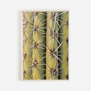 May include: Close-up of a framed print featuring a cactus. The image showcases the green, ribbed body of the cactus, punctuated by numerous sharp, brown spines. The print is set in a light-colored wooden frame, creating a natural aesthetic.