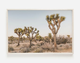 Joshua Tree in California Desert, South Western Decor, Joshua Tree Printable, Desert Print, Horizontal Wall Art, Desert Landscape Wall Art