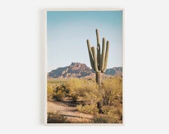 Desert Landscape Arizona Saguaro Arizona Cactus Print Southwestern Decor Desert Cactus Photo Saguaro Photography Boho Desert Print