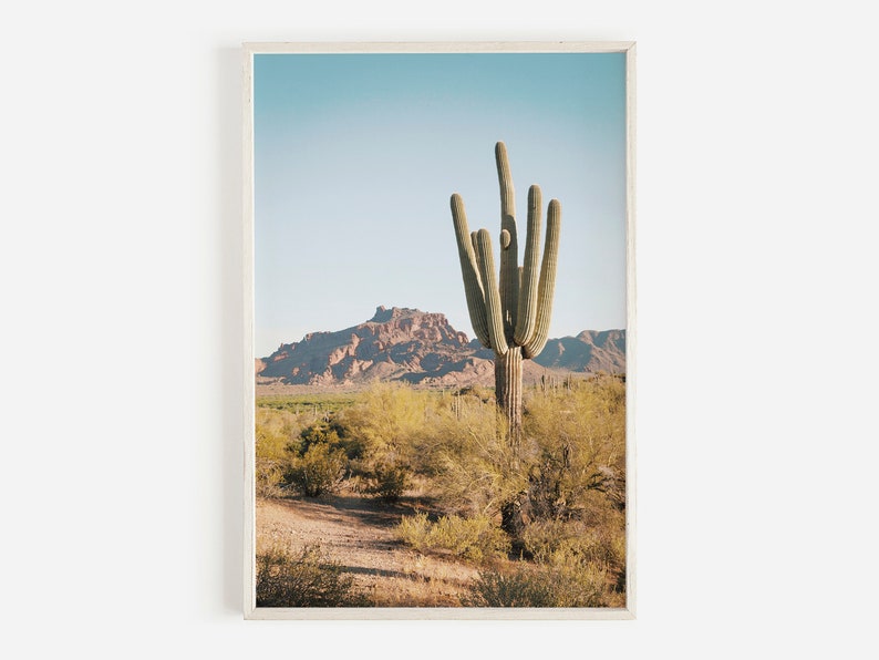 Desert Landscape Arizona Saguaro Arizona Cactus Print Southwestern Decor Desert Cactus Photo Saguaro Photography Boho Desert Print