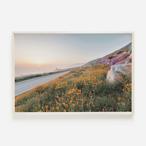 Poppy Flowers Along Highway, California Sunset, Poppy Flower Wall Art, Orange Poppies Print, California Poppies At Sunset, Floral Scenery