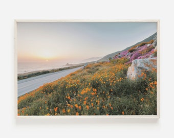 Poppy Flowers Along Highway, California Sunset, Poppy Flower Wall Art, Orange Poppies Print, California Poppies At Sunset, Floral Scenery