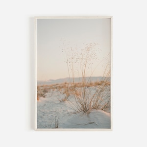 Desert Foliage Print, Sand Dune Wall Art, Desert Landscape, Southwest Decor, New Mexico Wall Art, White Sands Landscape Print Desert Grasses