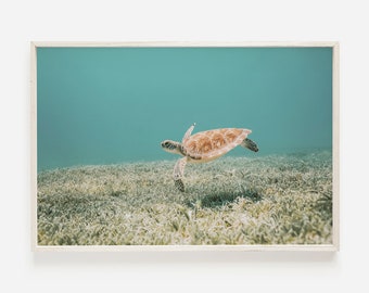 Hawaiian Sea Turtle, Underwater Photo, Tropical Ocean Print, Turtle Digital Art, Ocean Life Wall Art, Sea Turtle Print, Underwater Turtle