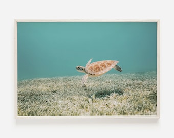 Hawaiiaanse zeeschildpad, onderwaterfoto, tropische oceaanprint, schildpad digitale kunst, kunst aan de muur oceaanleven, zeeschildpadprint, onderwaterschildpad