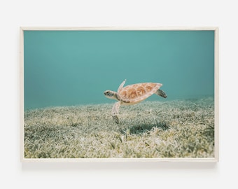 Hawaiian Sea Turtle, Underwater Photo, Tropical Ocean Print, Turtle Digital Art, Ocean Life Wall Art, Sea Turtle Print, Underwater Turtle