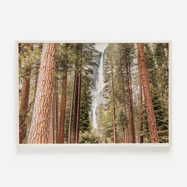 Redwood Forest in California, Eureka Scenery Print, Rustic Mountain Decor, Forest Landscape, Redwood Printable, California National Park