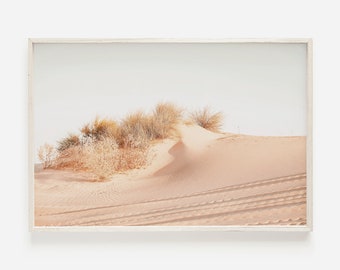 May include: A photograph of a desert landscape with a large sand dune and dry brush in the foreground. The sand is a light beige color and the sky is a pale blue.