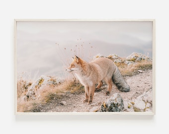 Red Fox Wall Art, Wildlife Photography, Western Home Decor, Woodland Wall Art, Rustic Home Decor, Fox Printable Art, Red Fox Photography