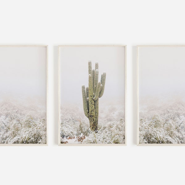 Saguaro in Snow Storm, Desert Triptych, Arizona Desert Snow, 3 Piece Print Set, Saguaro Winter Scenery, Arizona Winter Decor, Set of 3 Print