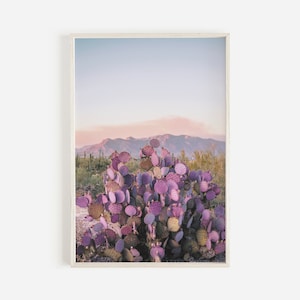 Nopal, Puesta de sol de cactus púrpura, Foto del desierto en colores pastel, Cartel de cactus, Desierto de Arizona imprimible, Paisaje de Cave Creek, Cactus púrpura