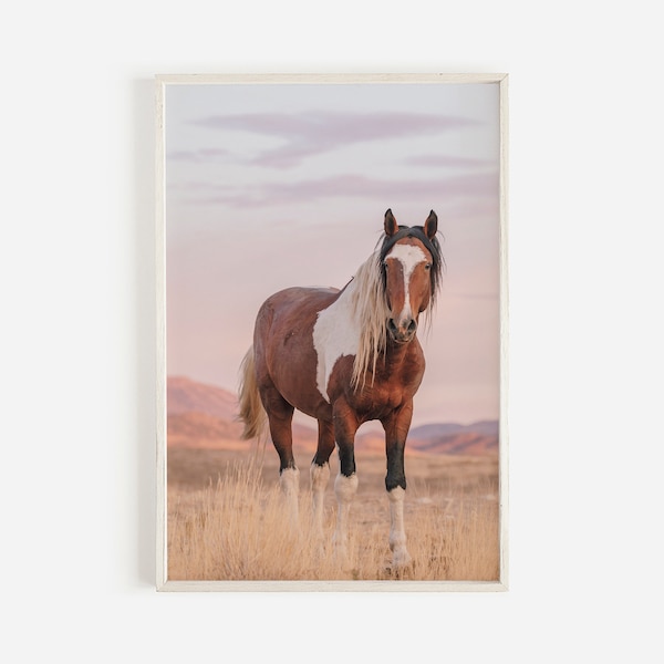 Pastel Wild Horse Print, New Mexico Wild Horse Wall Art, Pink Sky Photo, Pastel Horse Wall Art, Sunset Horse Photo, Wild Horse Digital Art