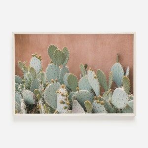 Flowering Cactus, Cactus Against Clay Colored Wall, Yellow Flower Cactus, Prickly Pear Cactus, Desert Flora, New Mexico Home Decor