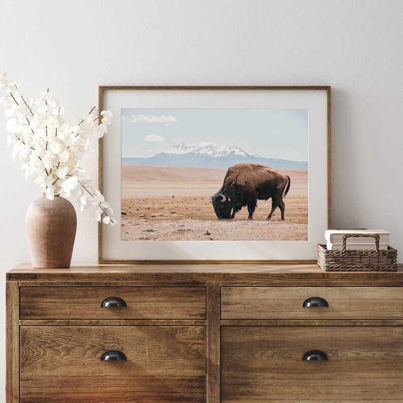 Bisonte de Nuevo México, Arte de pared de búfalo, Decoración rústica, Paisaje de Nuevo México, Naturaleza imprimible, Arte digital de bisonte, Impresión rústica de búfalo, Foto de NM imagen 3