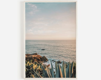 Agave Overlooking The Ocean, California Coastline Print, Sunset Beach Photo, Rocky Ocean Shore Wall Art, Ocean Agave Printable