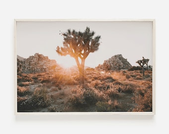 May include: A framed landscape print featuring a Joshua tree silhouetted against a setting sun. The warm tones of the desert scene include golden light, rocky formations, and dry brush. The print is encased in a light-colored wooden frame.