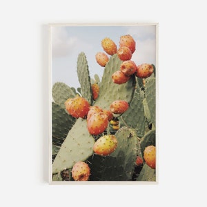 Feigenkaktus in Obst, Kaktus Obst Foto, rosa Kaktus Wandkunst, Wüstenlandschaft, Feigenkaktus Foto, Kaktus Obst Wandkunst, Südwesten Dekor