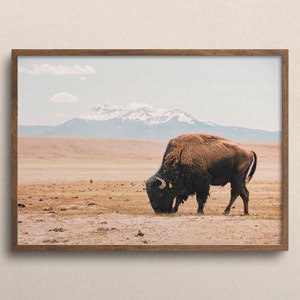 Bisonte de Nuevo México, Arte de pared de búfalo, Decoración rústica, Paisaje de Nuevo México, Naturaleza imprimible, Arte digital de bisonte, Impresión rústica de búfalo, Foto de NM imagen 2