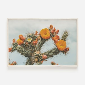 Bunte Kaktusblume, warme Sommerwüste, Kaktus in Blüte, gelbe Kaktusblumen, Südwestdekor, Arizona-Kaktusblumen, gelbes Blumen