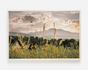 May include: A field of tall grass with a mountain range in the background. The sky is a soft pink and orange color, with fluffy white clouds. The grass is a mix of green and brown, and the sun is setting in the distance.