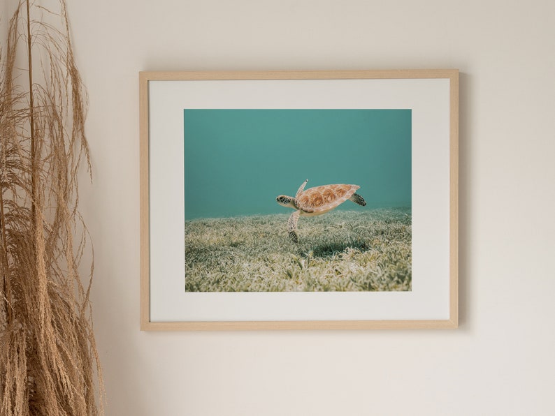 Hawaiian Sea Turtle, Underwater Photo, Tropical Ocean Print, Turtle Digital Art, Ocean Life Wall Art, Sea Turtle Print, Underwater Turtle image 4