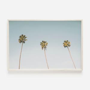 Tropical Palm Trees, Hawaii Palms Digital Art, Palm Tree Printable, Hawaii Photography, Three Palms Photo, Summer Palm Tree Print Hawaii Art