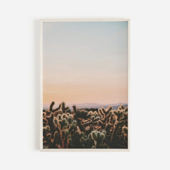 Cholla Cactus Photo, Joshua Tree Landscape, California Nature Print, Desert Wall Art, Boho Decor, Arizona Desert, Downloadable Print
