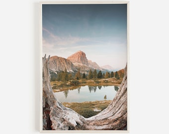 Rocky Mountain Views, Colorado Scenery, Alpine Pond Photo, Driftwood in Mountains, Colorado Landscape, Rocky Mountain Peaks Poster
