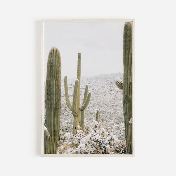 Impresión de cactus nevados, Saguaro en invierno, arte de la pared del  desierto de Arizona, Saguaro