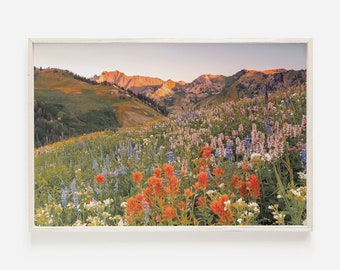 Cascade Springs Utah, Utah Landscape, Provo Utah Scenery, Cascade Springs Photo, Uinta National Forest, Mountain Landscape, Nature Wall Art