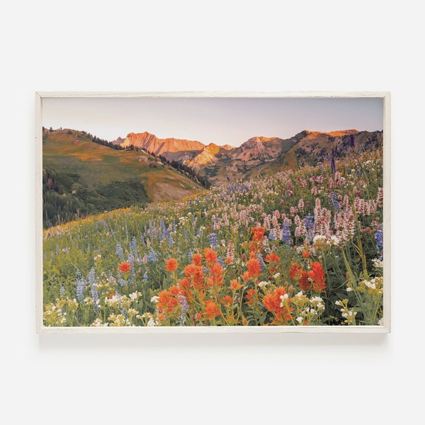 Cascade Springs Utah, Utah Landscape, Provo Utah Scenery, Cascade Springs Photo, Uinta National Forest, Mountain Landscape, Nature Wall Art