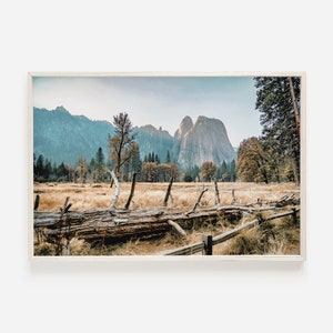 Rustic Yosemite Scenery, Old Tree Photo, Autumn in Yosemite, California National Park, Rustic Scenery Print, Wilderness Wall Art
