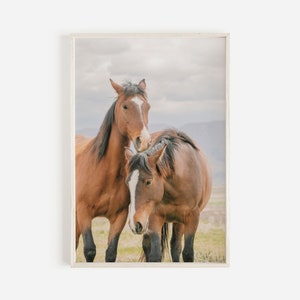 Desert Wild Horses, Utah Wildlife, Wild Horse Poster, Bay Colored Horse, Desert Heritage, Wild Horse Digital Art,