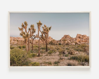 May include: A scenic photograph of a desert landscape with Joshua trees in the foreground and rocky hills in the background. The sky is a soft blue with a hint of pink.