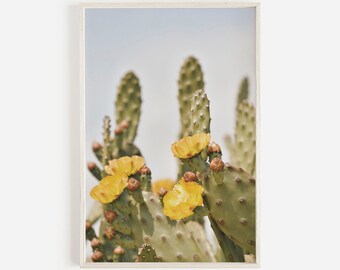 Bright Cactus Flower Under Summer Sun, Yellow Flower Photo, Cactus in Bloom, Yellow Cactus Flower Wall Art, Southwest Bedroom Decor