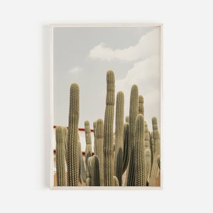 Großer Kaktus in der Wüste, New Mexico Kaktus Print, Kaktus Fotografie, Wüstenkaktus Wandkunst, grüner Kaktus Poster, Southwest Home Decor