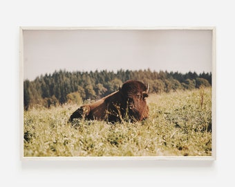 Western Bison Wall Art, Rustic Home Decor, Wildlife Photography, Southwestern Print, Farmhouse Wall Art, Buffalo Printable