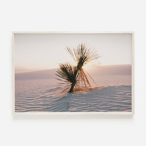 Desert Yucca Print, White Sands National Monument, New Mexico Desert, National Park Print, Desert Sunset Photo, Sand Dune Digital Art Print