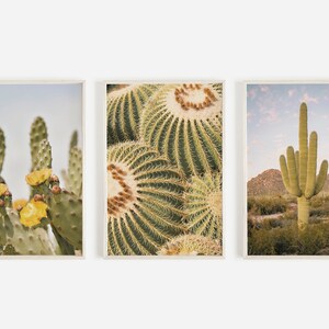 Set di 3 stampe del deserto di Sonora, arredamento del cactus del sud-ovest, set di stampe del cactus dell'Arizona, foto di cactus in 3 pezzi, arte del cactus botanico, set dell'Arizona 3